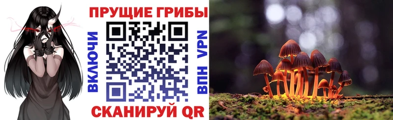 Галлюциногенные грибы Psilocybe  нарко площадка наркотические препараты  Морозовск 